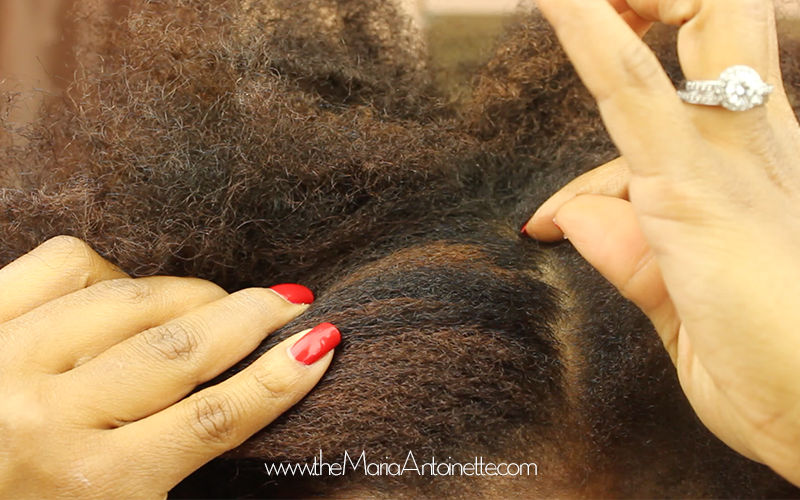 How to Mini Twist and Style your Natural Hair