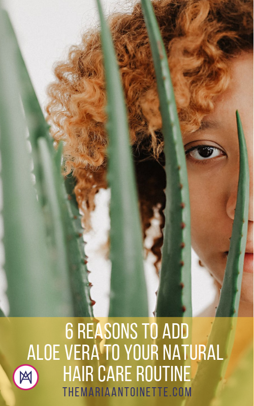 6 Reasons to Add Aloe Vera to Your Natural Hair Care Routine