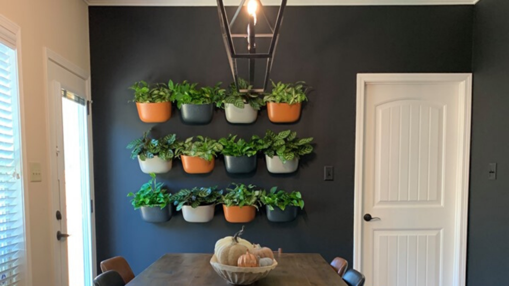 Do It Yourself Creating A Living Wall In Your Home Using Wallygro