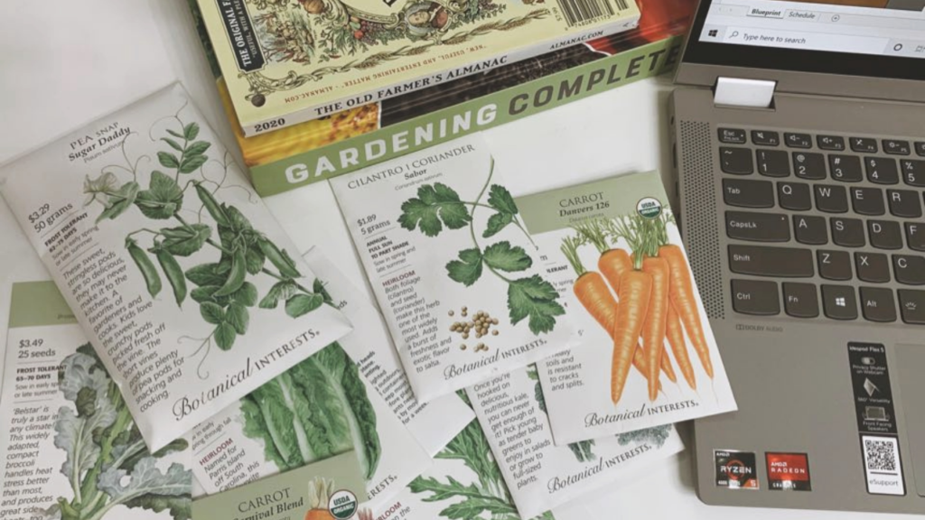 Fall Garden Plan: A Guide For Making Your Fall Harvest A Success