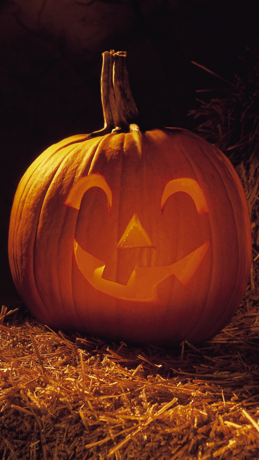 25+ DIY Family Friendly Carve and NoCarve Pumpkin Design Ideas