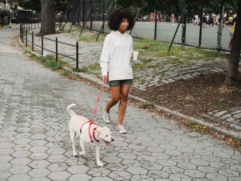 6 Reasons Why You Should Be Walking Daily for 30 Minutes